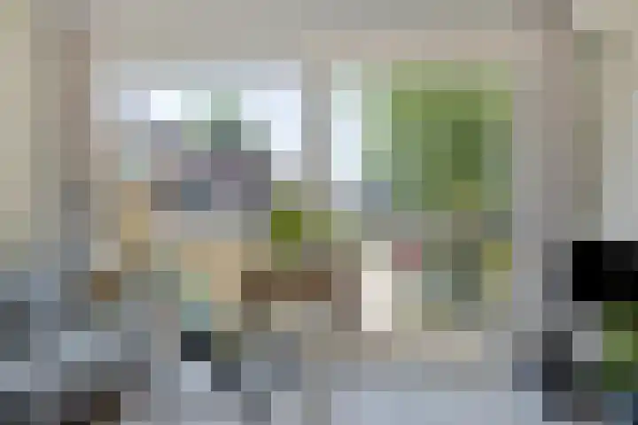 Piet Heinstraat 52 Maarssen thumbnail 8