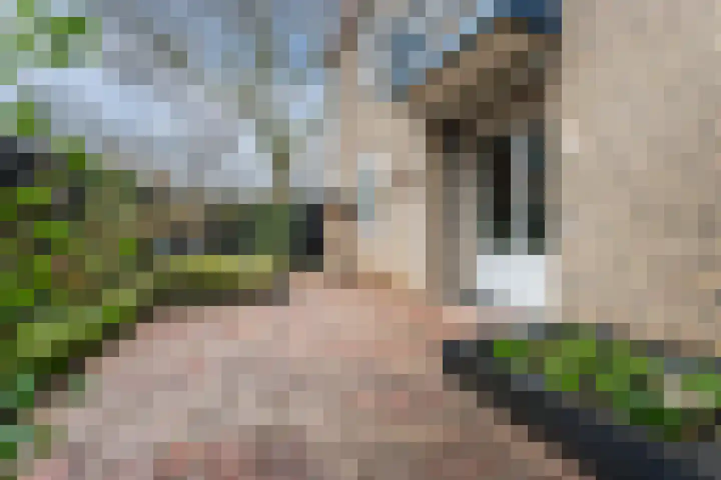 Piet Heinstraat 53 Boxmeer thumbnail 5