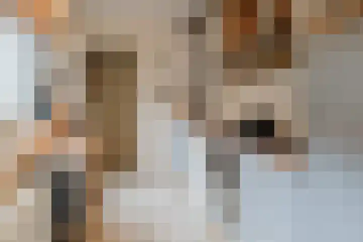 Piet Heinstraat 54 IJmuiden thumbnail 14