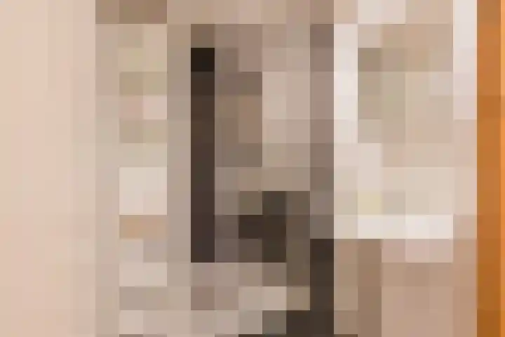Piet Heinstraat 54 IJmuiden thumbnail 5