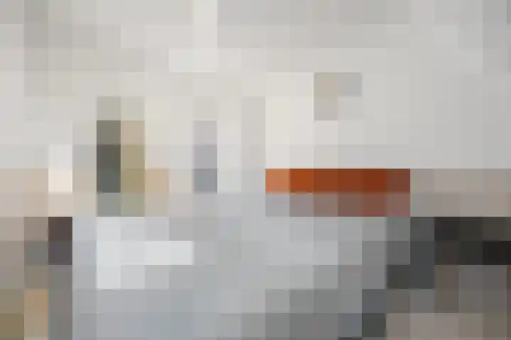 Piet Heinstraat 54 Nijmegen thumbnail 20
