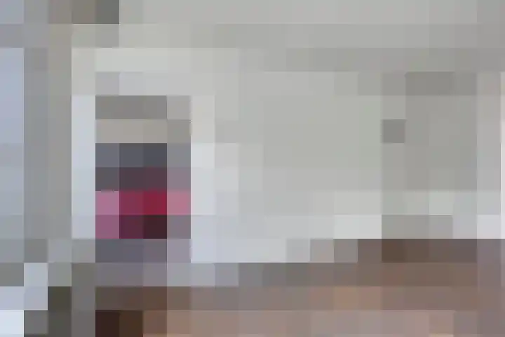 Piet Heinstraat 56 Zoetermeer thumbnail 11