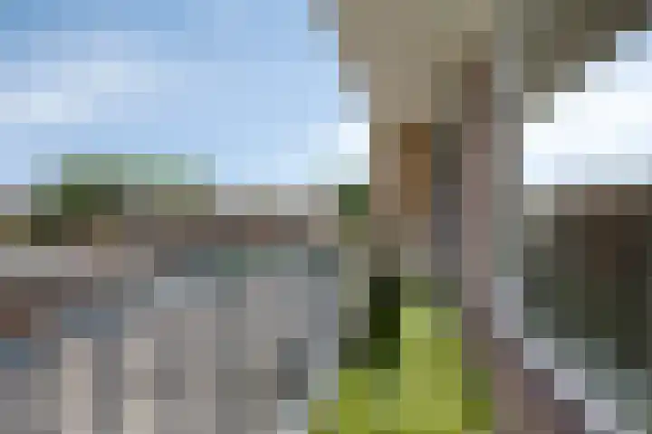 Piet Heinstraat 56 Zoetermeer thumbnail 16