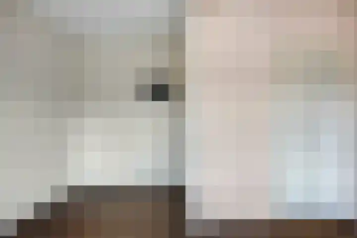 Piet Heinstraat 56 Zoetermeer thumbnail 18