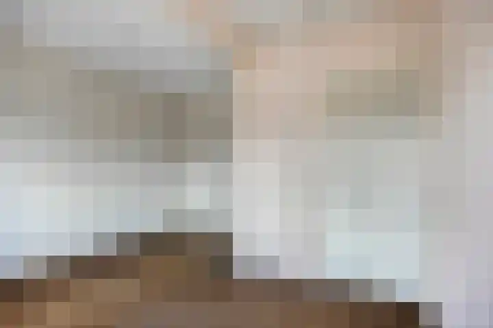 Piet Heinstraat 56 Zoetermeer thumbnail 19