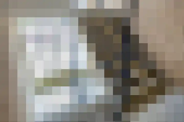 Piet Heinstraat 56 Zoetermeer thumbnail 5