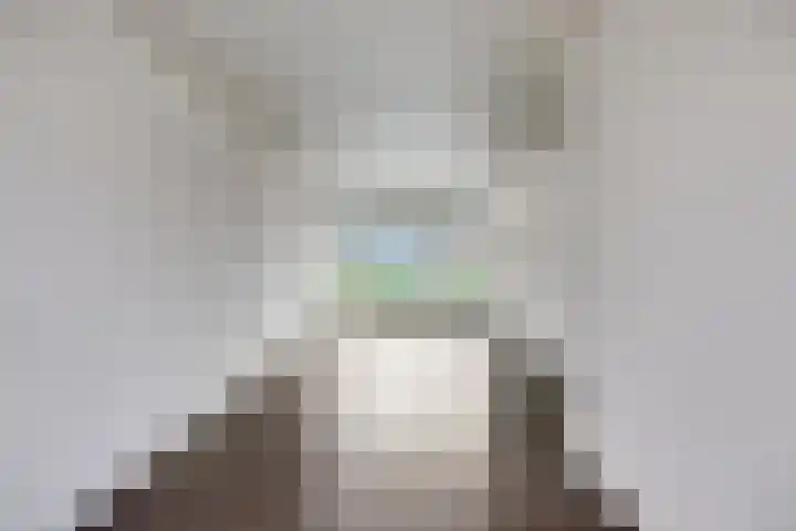 Piet Heinstraat 56 Zoetermeer thumbnail 8