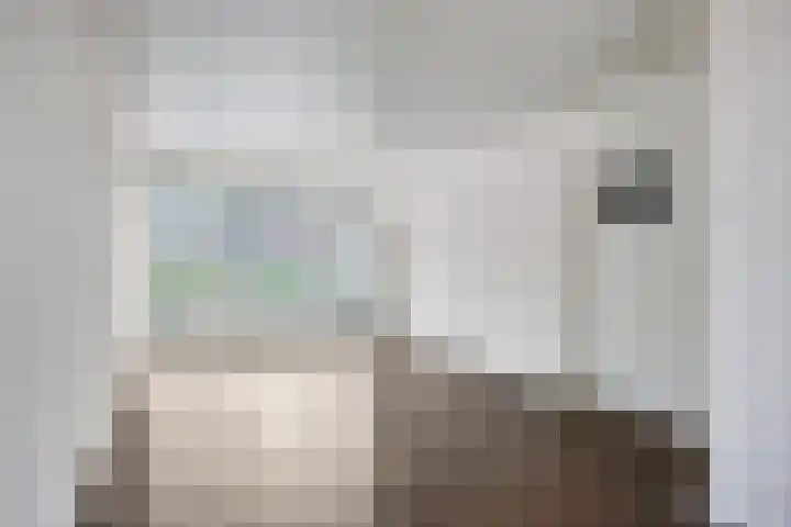 Piet Heinstraat 56 Zoetermeer thumbnail 9