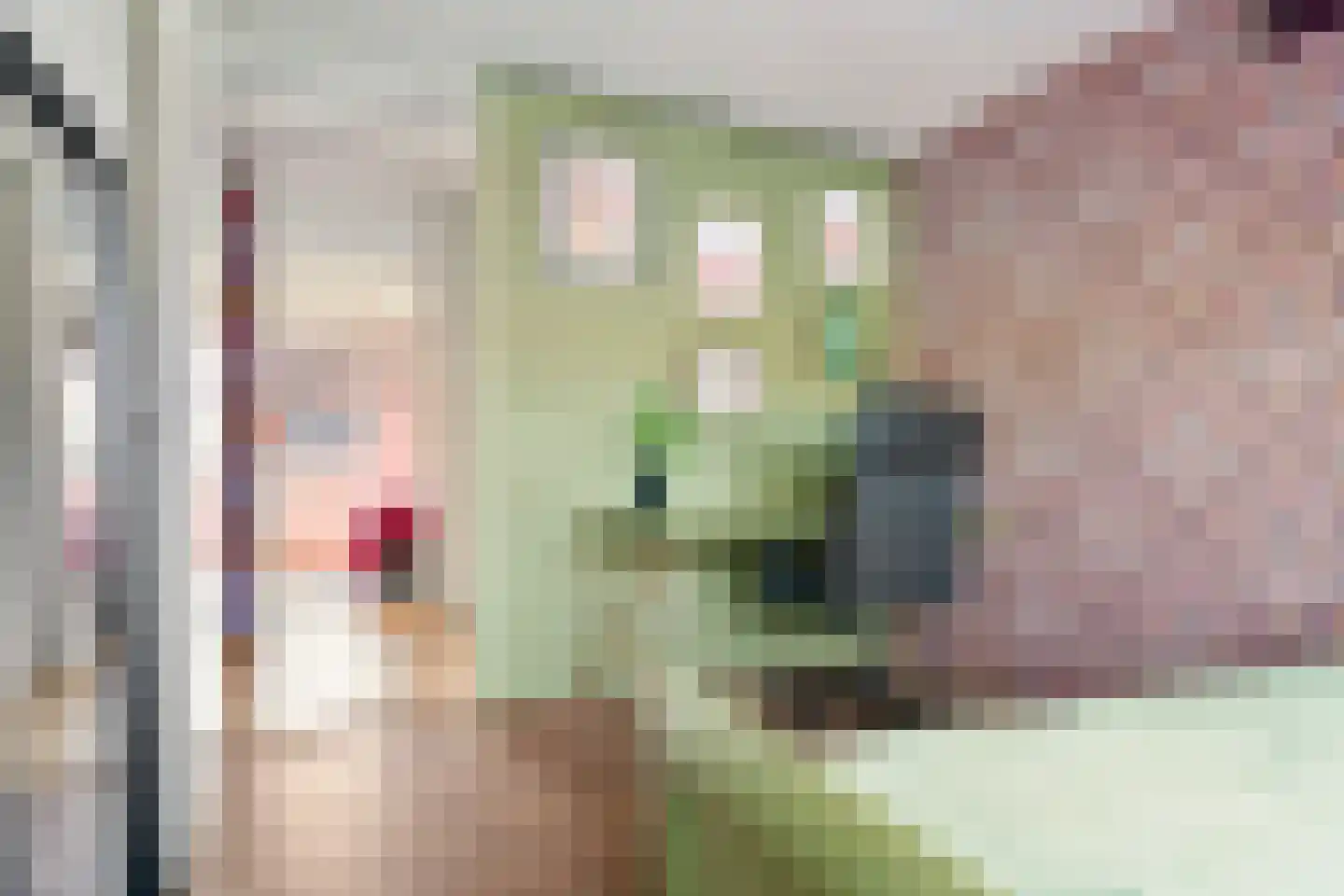 Piet Heinstraat 59 Zwolle thumbnail 26