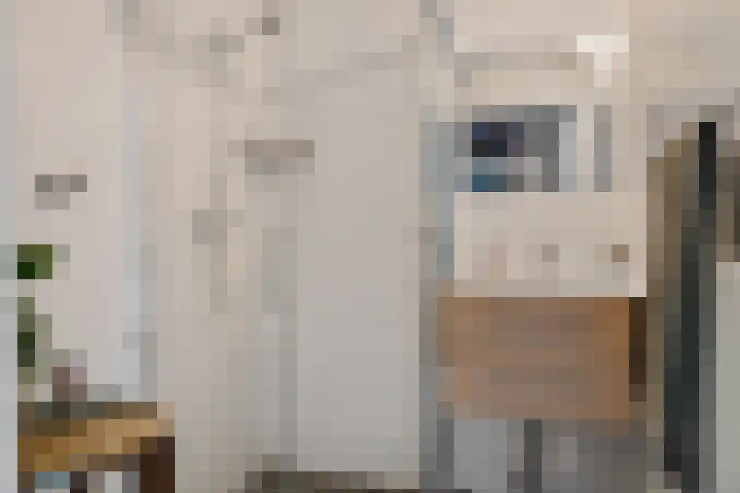 Piet Heinstraat 59 Zwolle thumbnail 30