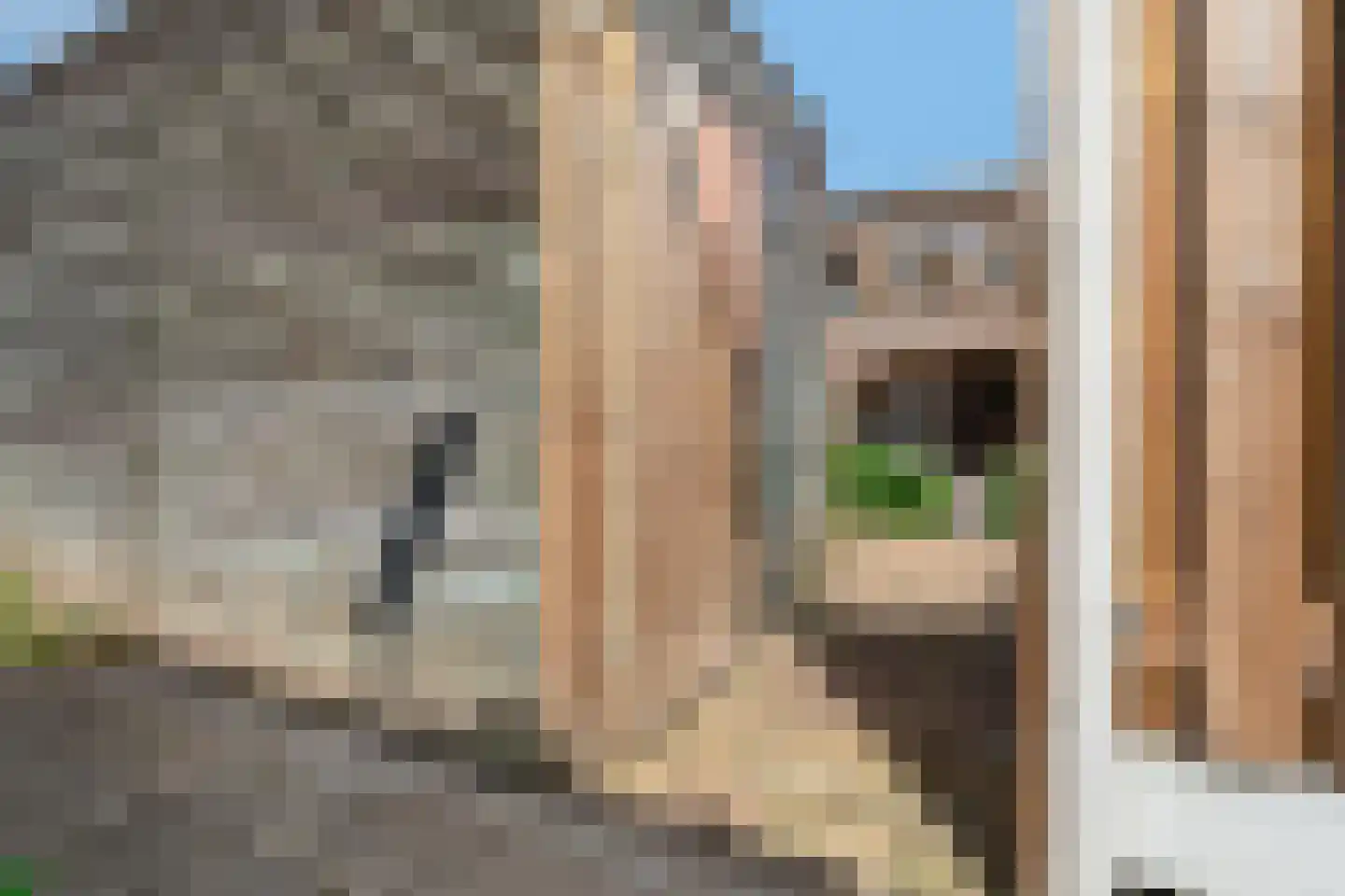 Piet Heinstraat 59 Zwolle thumbnail 38