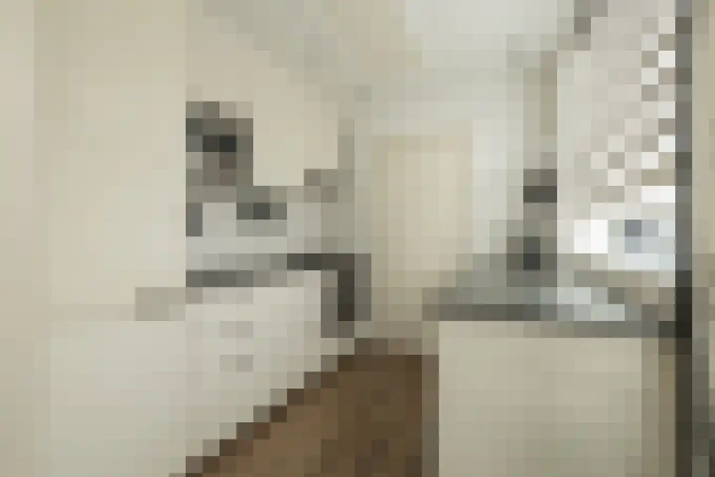 Piet Heinstraat 6 Hillegom thumbnail 4