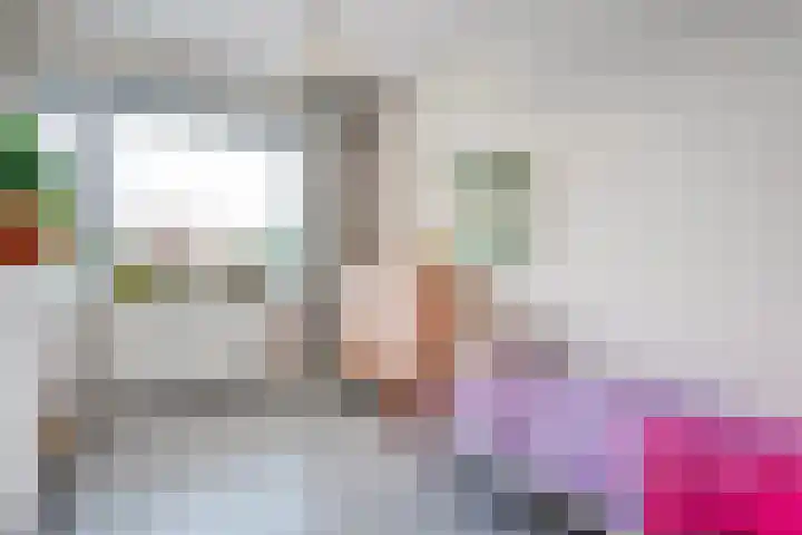 Piet Heinstraat 6 Steenwijk thumbnail 13
