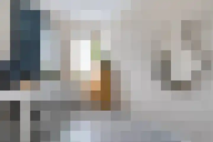 Piet Heinstraat 6 Steenwijk thumbnail 15