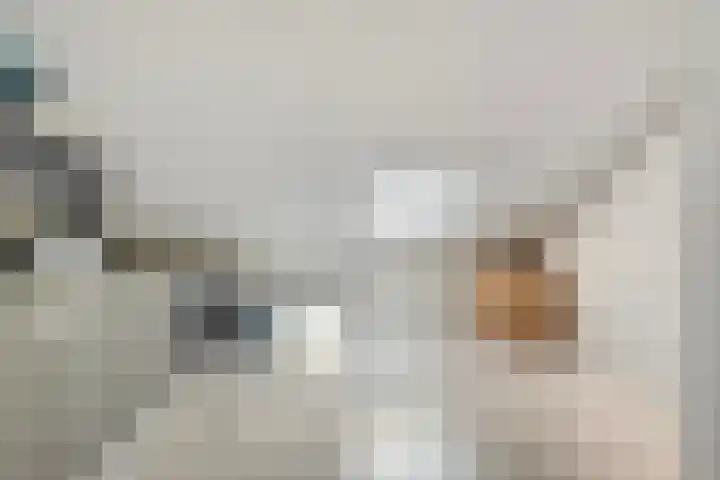 Piet Heinstraat 6 Steenwijk thumbnail 19