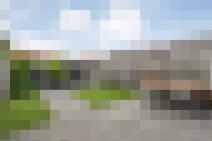 Piet Heinstraat 6 Steenwijk thumbnail 21