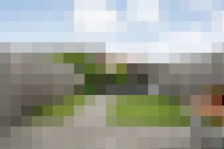 Piet Heinstraat 6 Steenwijk thumbnail 22