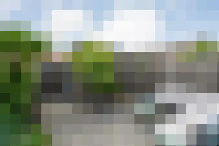Piet Heinstraat 6 Steenwijk thumbnail 23