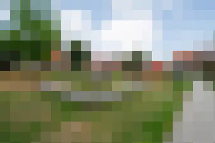 Piet Heinstraat 6 Steenwijk thumbnail 25