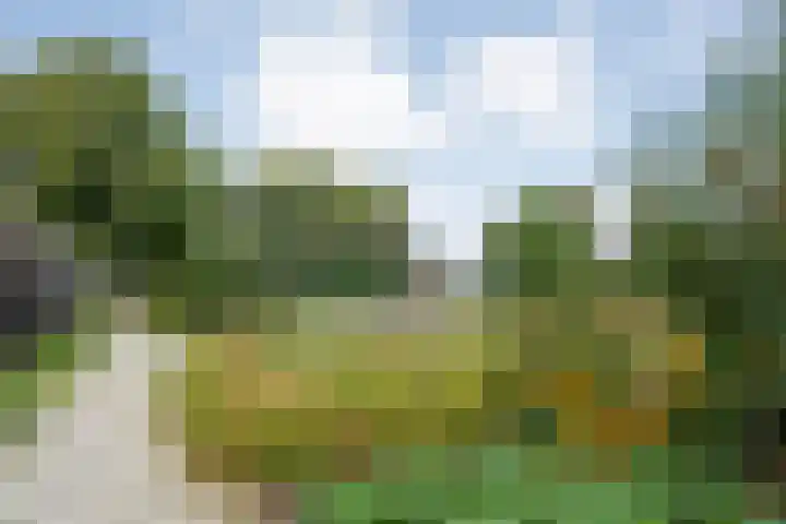 Piet Heinstraat 6 Steenwijk thumbnail 26