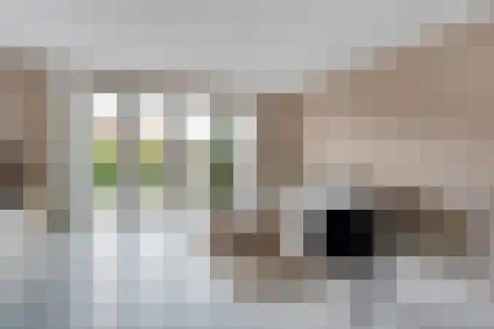 Piet Heinstraat 6 Steenwijk foto 3