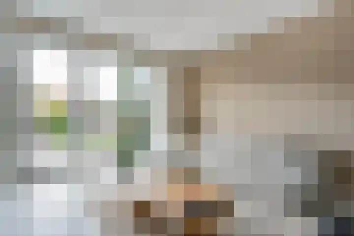 Piet Heinstraat 6 Steenwijk thumbnail 4