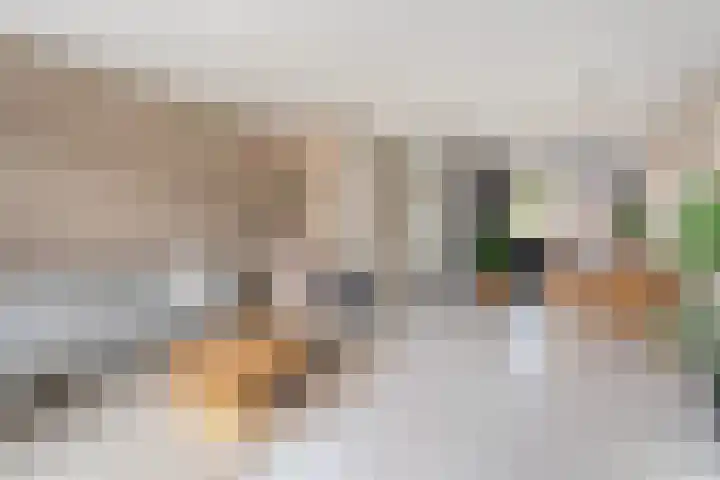 Piet Heinstraat 6 Steenwijk thumbnail 5