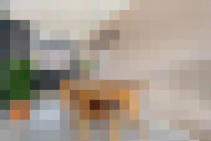 Piet Heinstraat 6 Steenwijk thumbnail 7