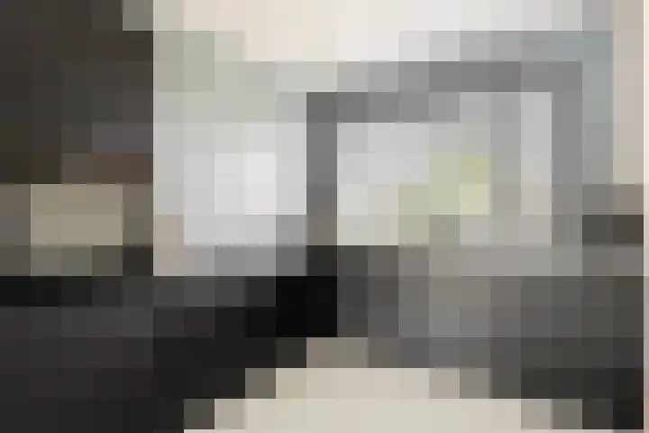 Piet Heinstraat 6 Steenwijk thumbnail 8