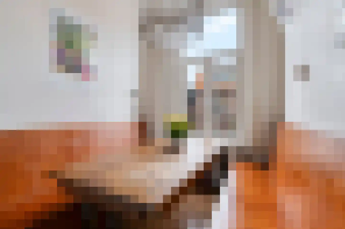 Piet Heinstraat 60 Delft thumbnail 14
