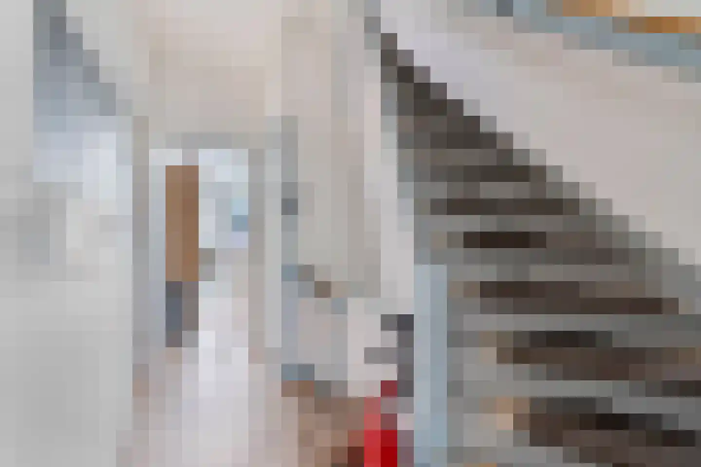 Piet Heinstraat 60 Delft thumbnail 16