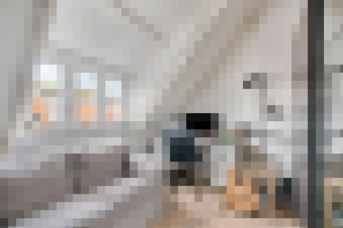 Piet Heinstraat 60 Delft thumbnail 22