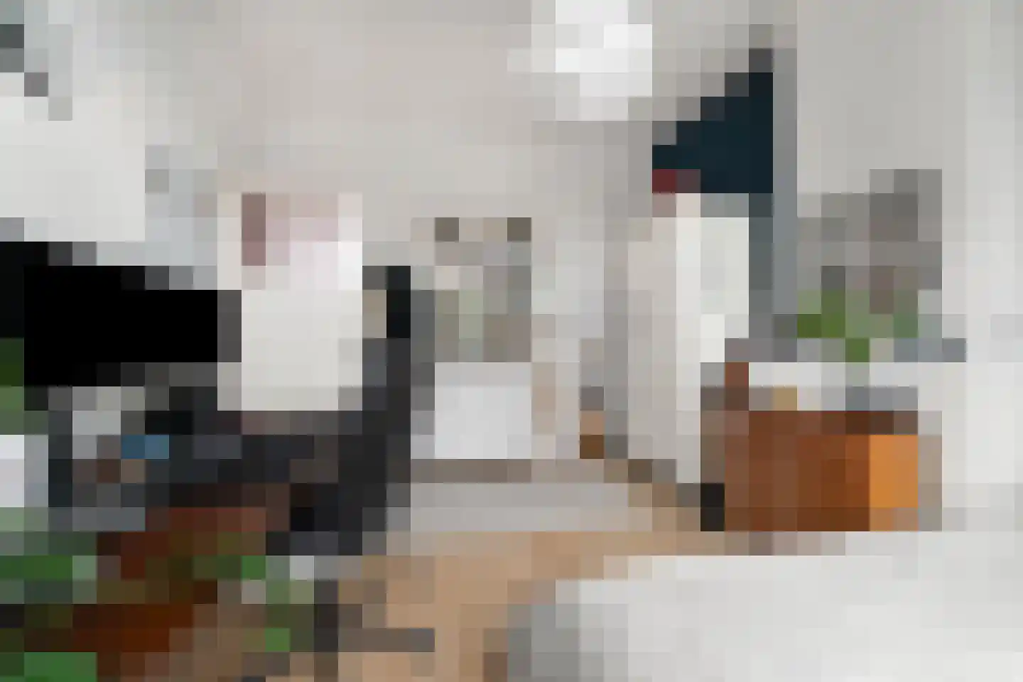 Piet Heinstraat 60 Delft thumbnail 8