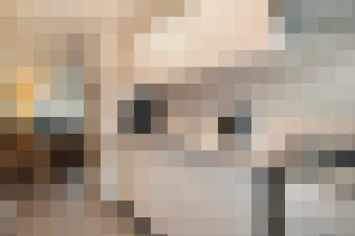 Piet Heinstraat 61 Zwolle thumbnail 10