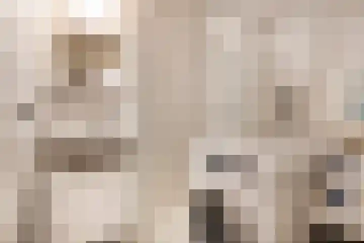 Piet Heinstraat 61 Zwolle thumbnail 15