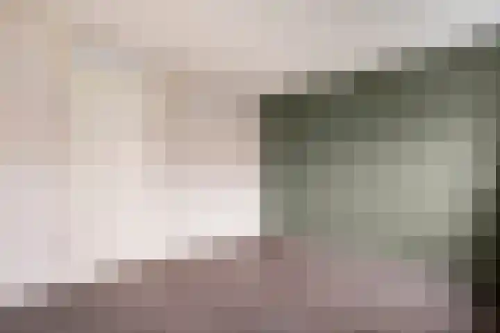 Piet Heinstraat 61 Zwolle thumbnail 18