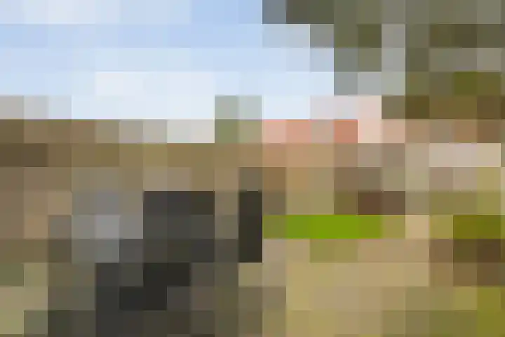 Piet Heinstraat 61 Zwolle thumbnail 19