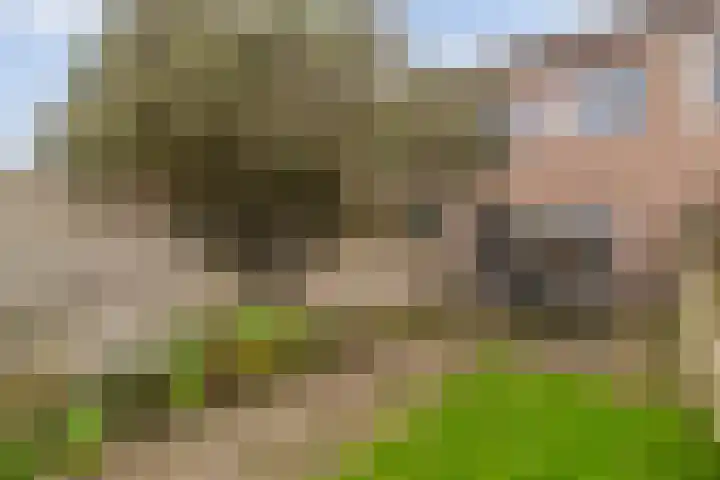 Piet Heinstraat 61 Zwolle thumbnail 20