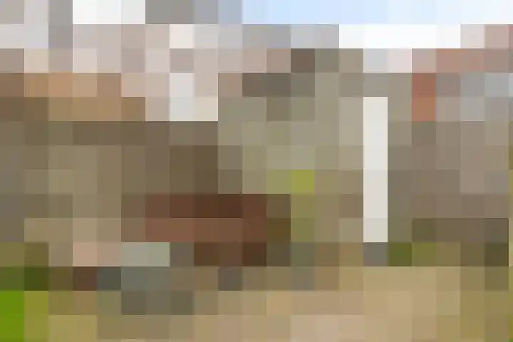 Piet Heinstraat 61 Zwolle thumbnail 21