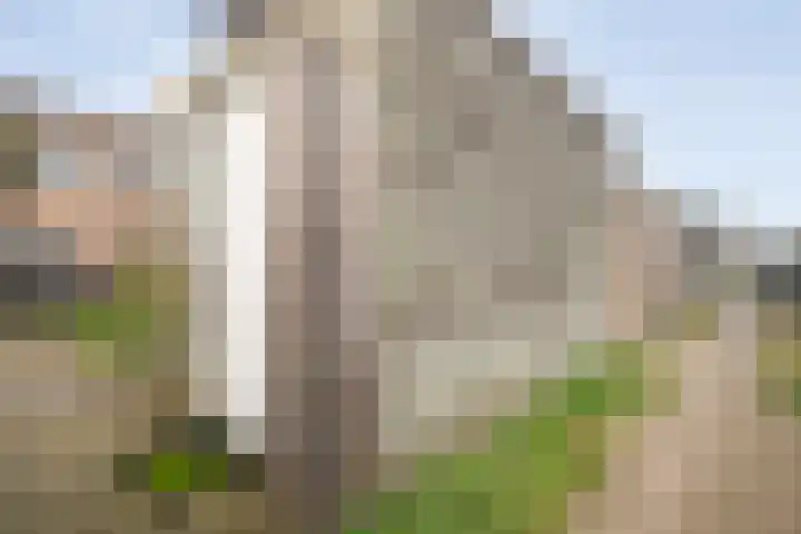 Piet Heinstraat 61 Zwolle thumbnail 22