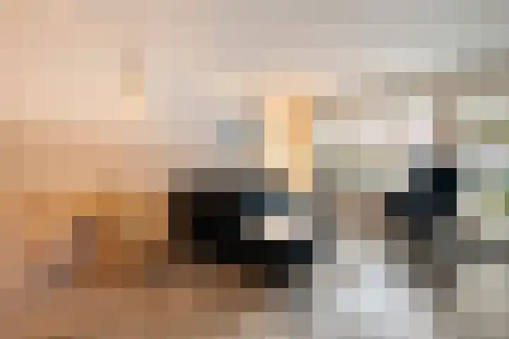 Piet Heinstraat 61 Zwolle thumbnail 4