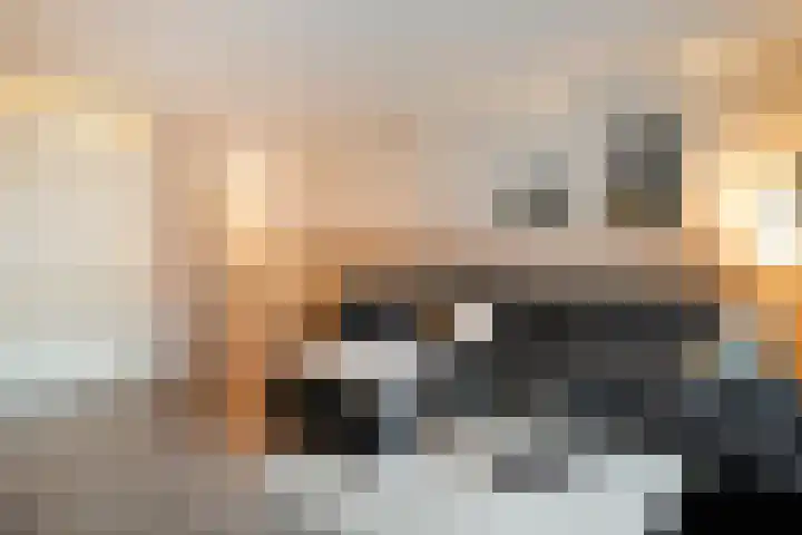 Piet Heinstraat 61 Zwolle thumbnail 5