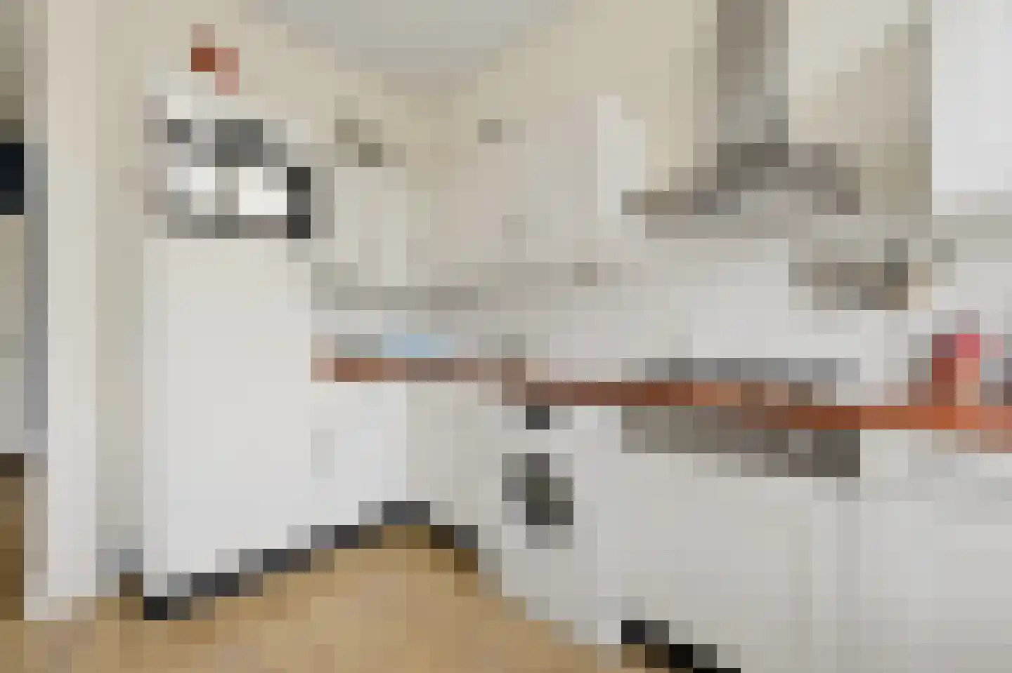 Piet Heinstraat 62 B Den Haag thumbnail 13