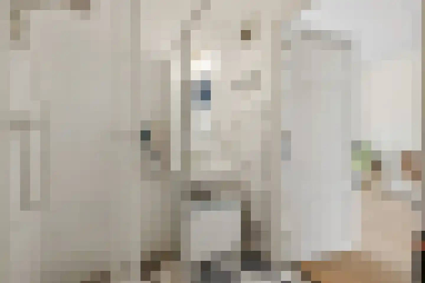 Piet Heinstraat 62 B Den Haag thumbnail 18