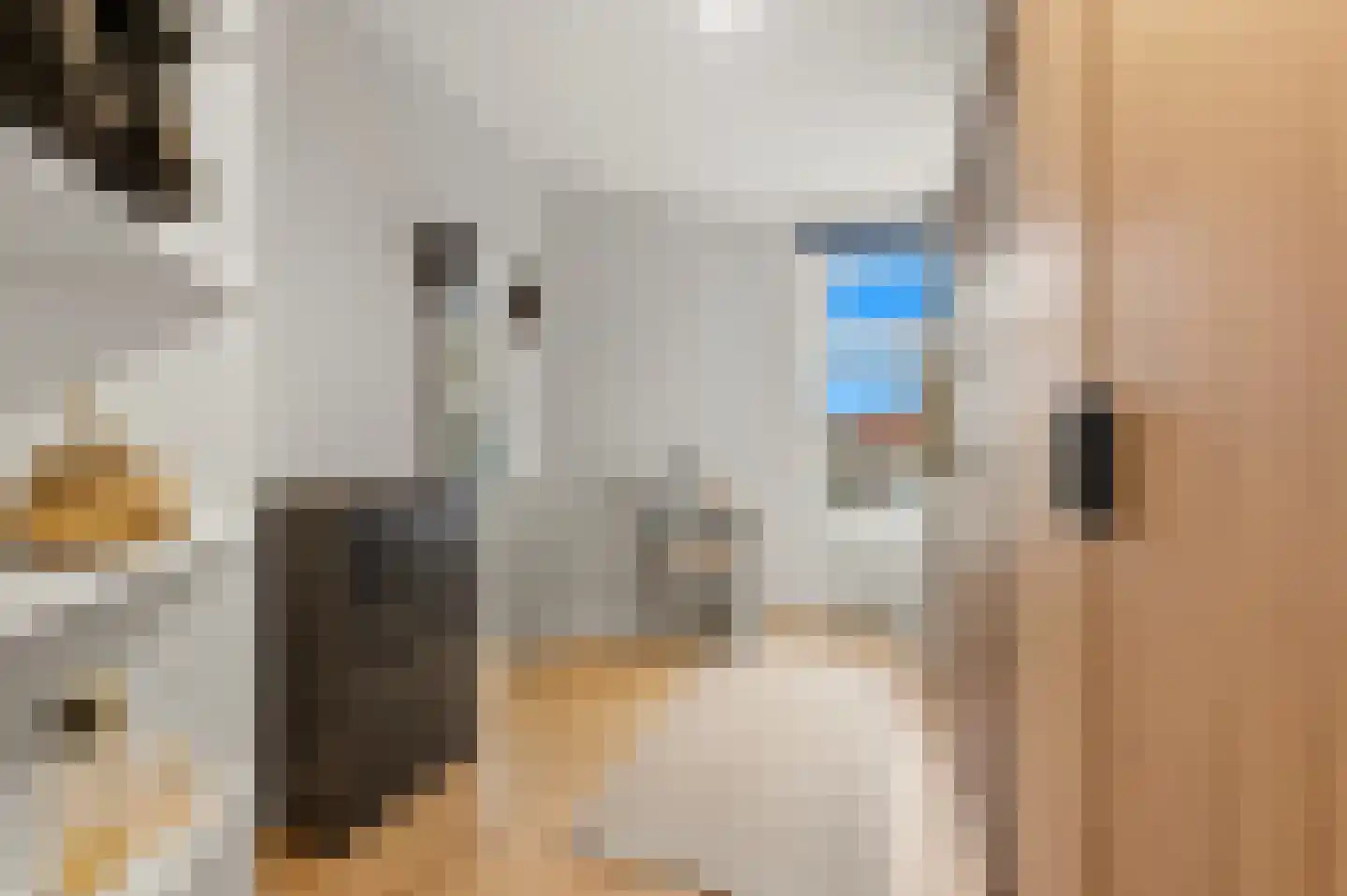 Piet Heinstraat 62 B Den Haag thumbnail 22