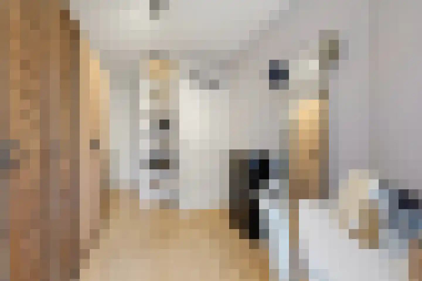 Piet Heinstraat 62 B Den Haag thumbnail 23