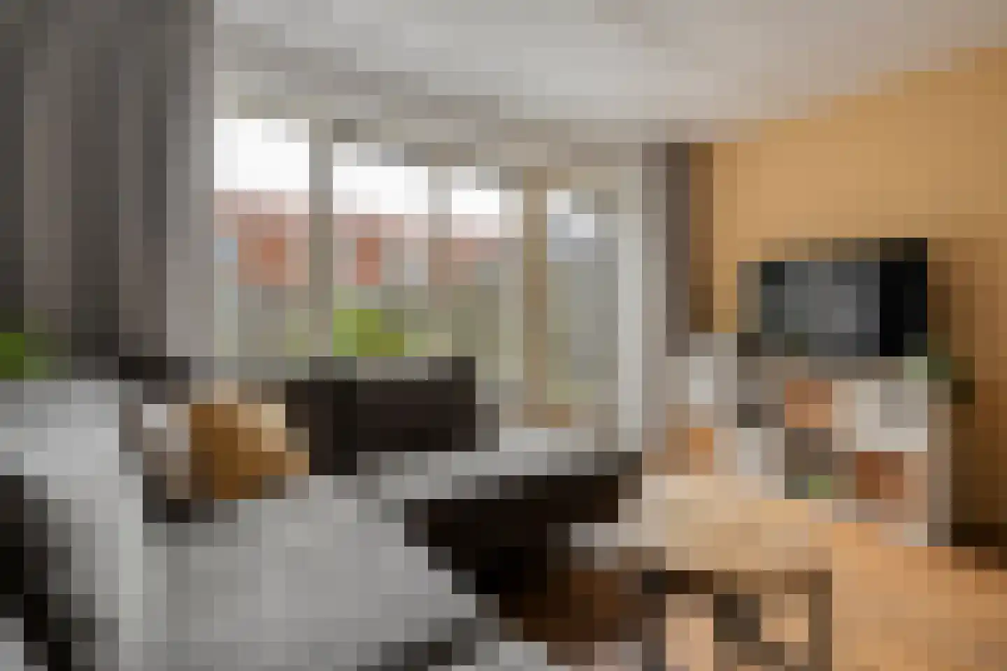 Piet Heinstraat 65 Zwolle thumbnail 10