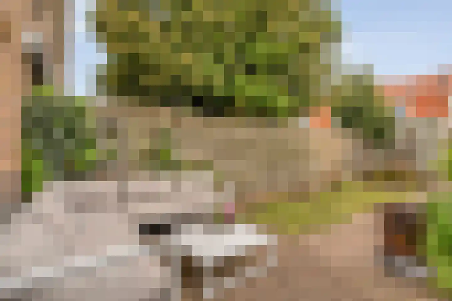 Piet Heinstraat 65 Zwolle thumbnail 28