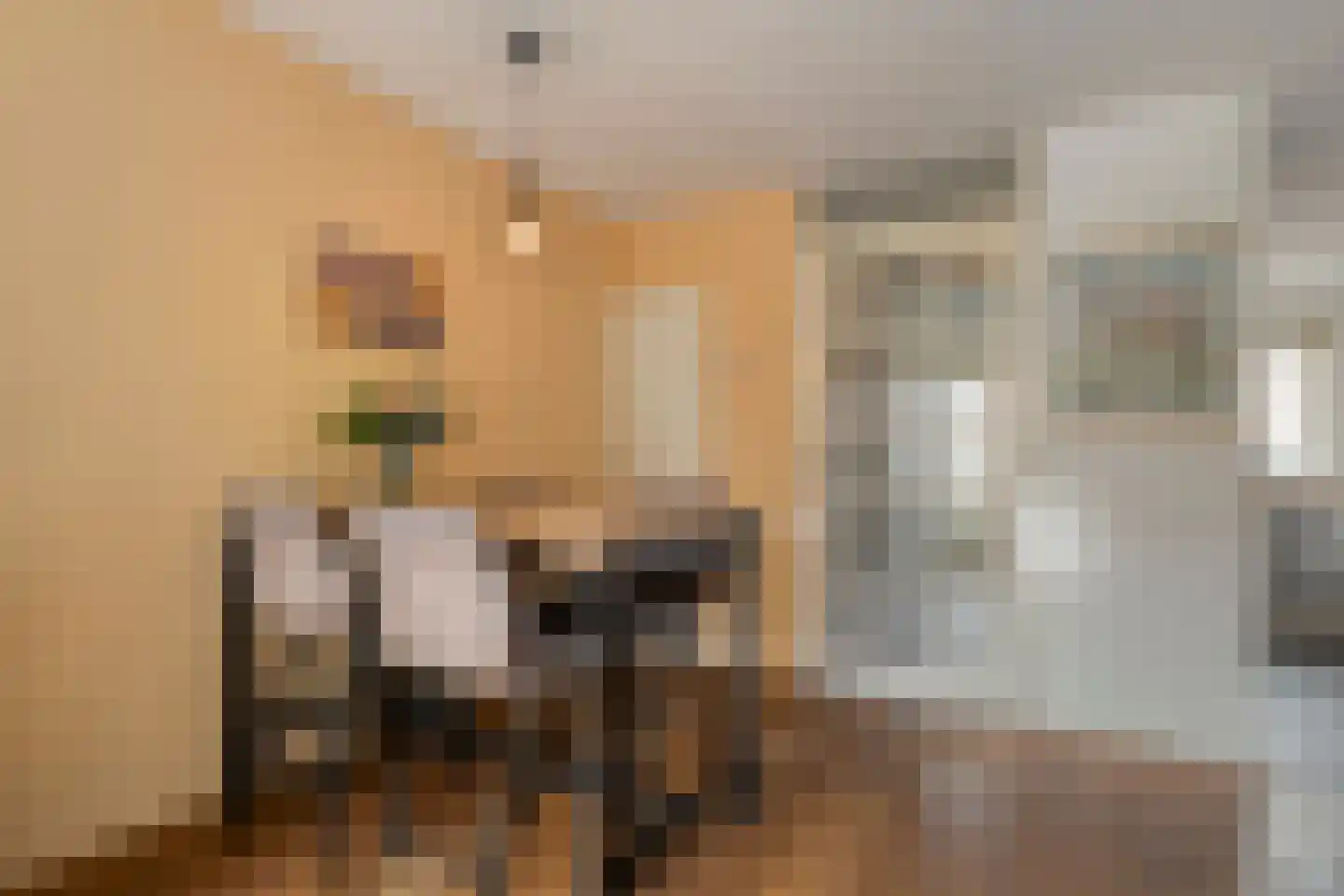 Piet Heinstraat 65 Zwolle thumbnail 6