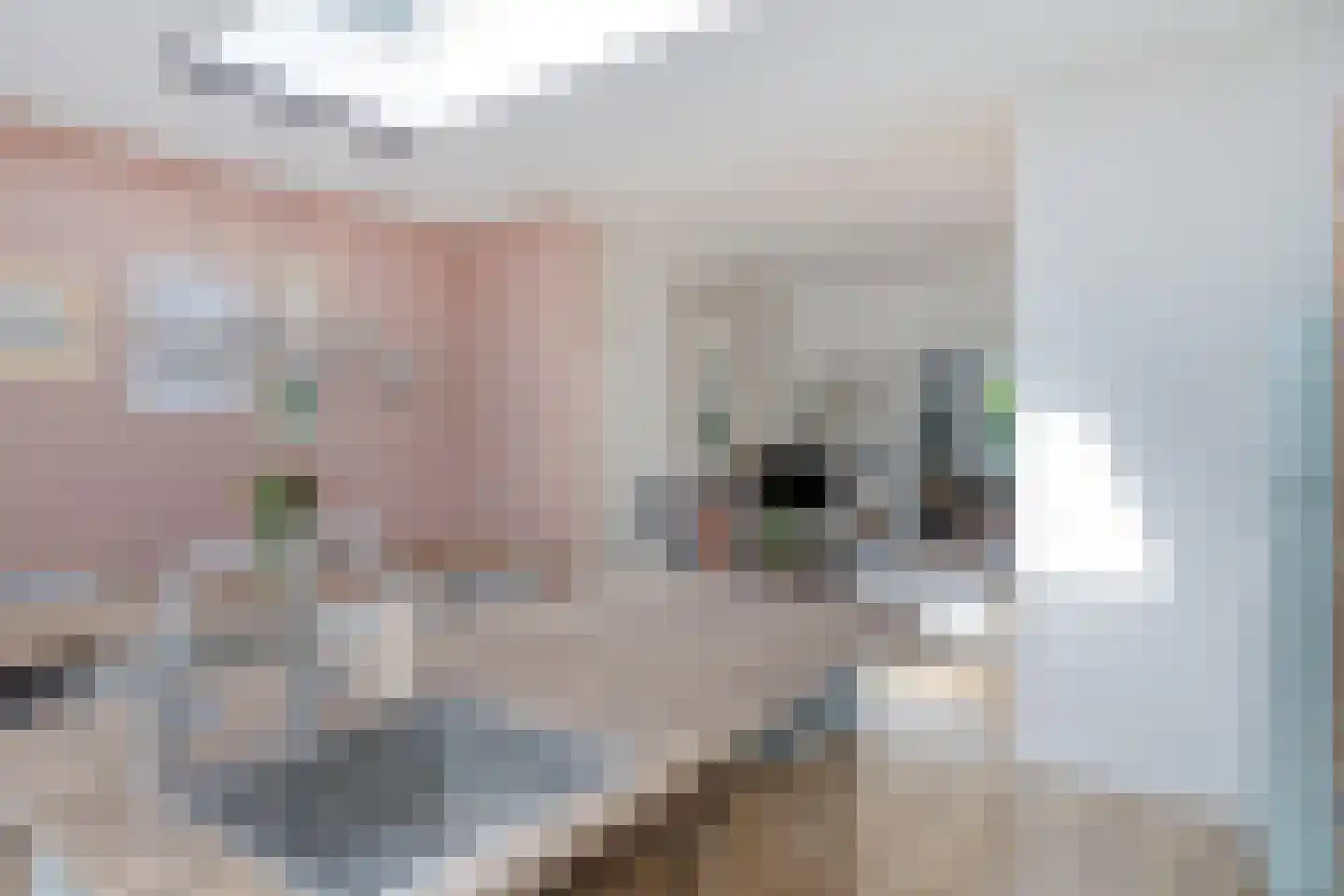 Piet Heinstraat 67 Nijmegen thumbnail 18